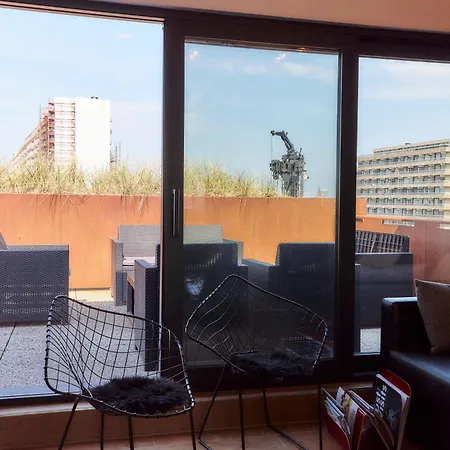 Apartment Sky Bird *